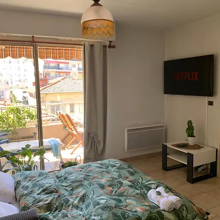 Meuble Plein Centre 公寓 尼斯