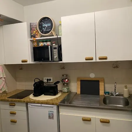 Studio Meuble Plein Centre Apartment *