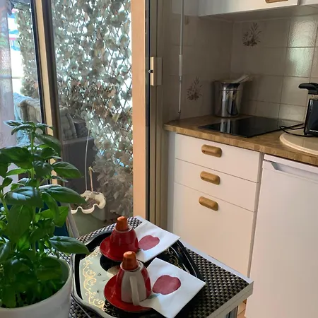 Studio Meuble Plein Centre Apartment